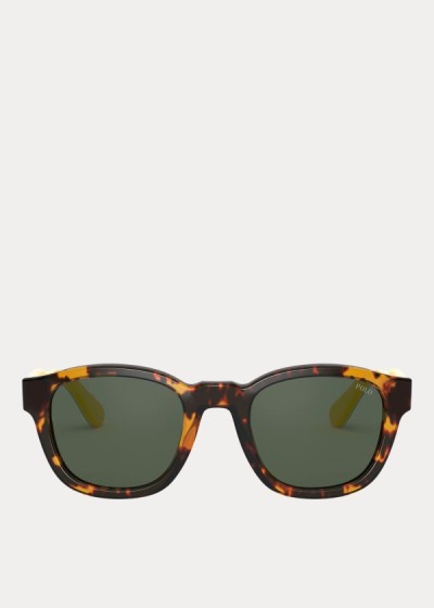 Men's Polo Ralph Lauren Tartan Collegiate Sunglasses | 730829WPH